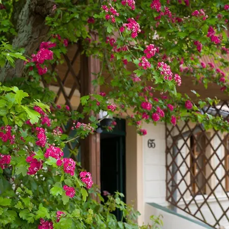 Zagroda Chlopska Farmház