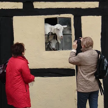 Zagroda Chlopska Vakantieboerderij Gosław