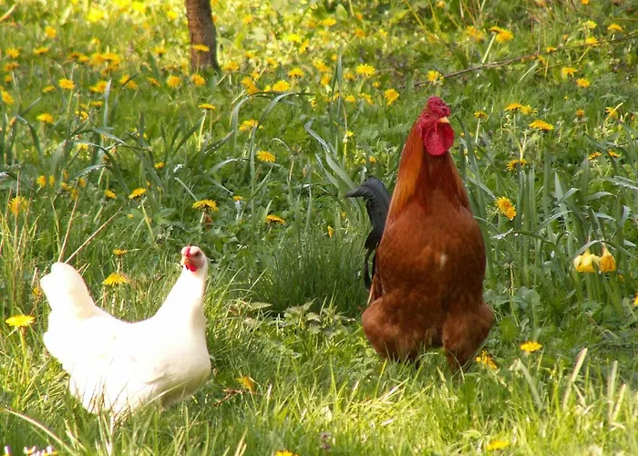 Zagroda Chlopska Gosław