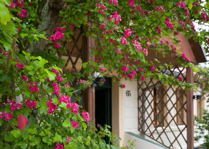 Zagroda Chlopska Фермерский дом