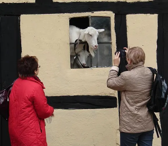 Zagroda Chlopska Фермерский дом Goslaw